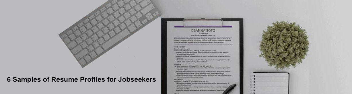 6 Samples Of Resume Profiles For Jobseekers-prathigna.com