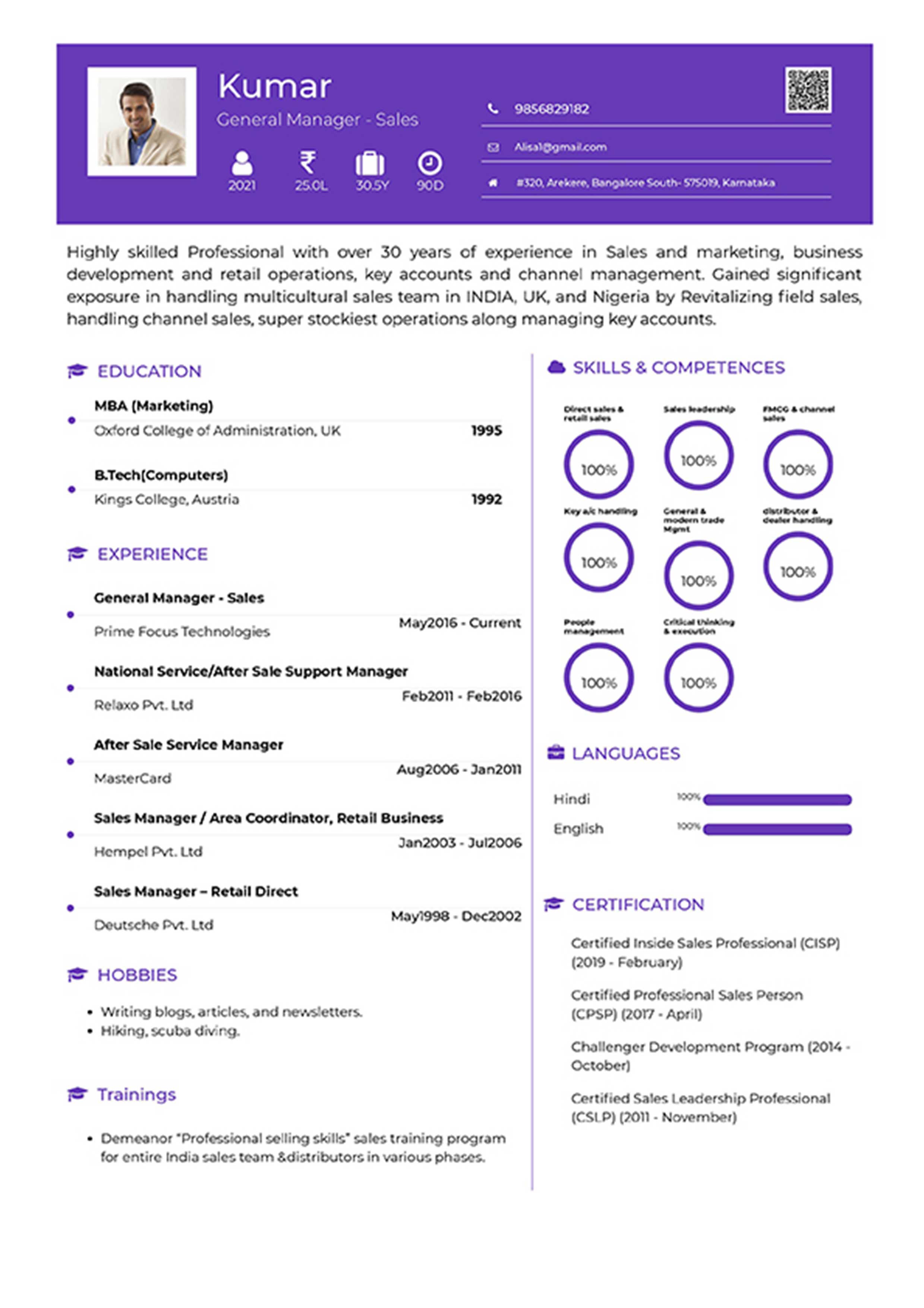 Visual CV Template for Professionals-Hullojobs.com